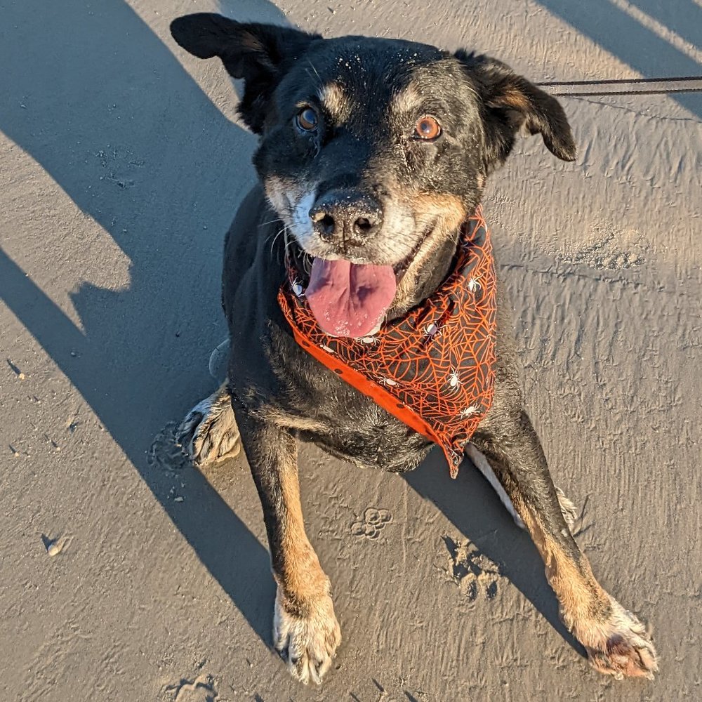 Meet your Posher, Caitlin